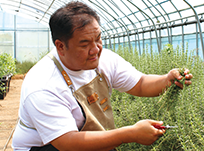 충청남도 서천 김경태