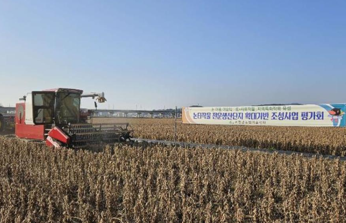 서천군, 논타작물 생산단지 기반조성 평가회 개최 - '콩+사료작물' 재배로 벼 단작 대비 농가소득 73% 향상 -